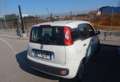 Fiat Panda 1.3 MJT 95 CV S&S Easy AUTOVETTURA Wit - thumbnail 3