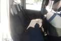 Fiat Panda 1.3 MJT 95 CV S&S Easy AUTOVETTURA Wit - thumbnail 8