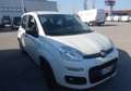 Fiat Panda 1.3 MJT 95 CV S&S Easy AUTOVETTURA Wit - thumbnail 2