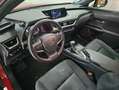 Lexus UX 250h 2.0 Business Rojo - thumbnail 30
