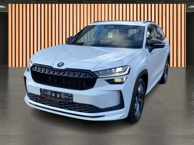 Skoda Kodiaq view 2