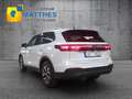Volkswagen Tiguan 1.5 eTSI DSG MJ2024 NAVIGATIONSFUNKTION* ParkAs... Серый - thumbnail 7