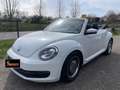 Volkswagen Maggiolino Cabrio 1.8 TSI DSG  BlueMotion Technology Alb - thumbnail 5