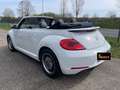 Volkswagen Maggiolino Cabrio 1.8 TSI DSG  BlueMotion Technology Alb - thumbnail 10