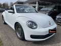 Volkswagen Maggiolino Cabrio 1.8 TSI DSG  BlueMotion Technology Alb - thumbnail 7