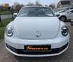 Volkswagen Maggiolino Cabrio 1.8 TSI DSG  BlueMotion Technology Alb - thumbnail 8