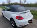Volkswagen Maggiolino Cabrio 1.8 TSI DSG  BlueMotion Technology Alb - thumbnail 9