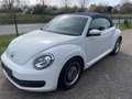 Volkswagen Maggiolino Cabrio 1.8 TSI DSG  BlueMotion Technology Alb - thumbnail 6