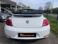 Volkswagen Maggiolino Cabrio 1.8 TSI DSG  BlueMotion Technology Alb - thumbnail 12