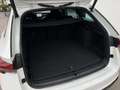 Skoda Octavia Combi RS 265 PS Facelift Matrix ACC Kamera Weiß - thumbnail 14
