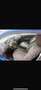 SEAT Ibiza SC 1.6TDI CR Copa Style - thumbnail 17