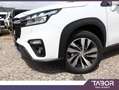 Suzuki SX4 S-Cross 1.4 Hybrid Comfort+ LED GPS cam Blanc - thumbnail 5