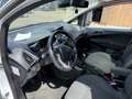 Ford B-Max 1.0 EcoB. Titanium motor schade Weiß - thumbnail 5