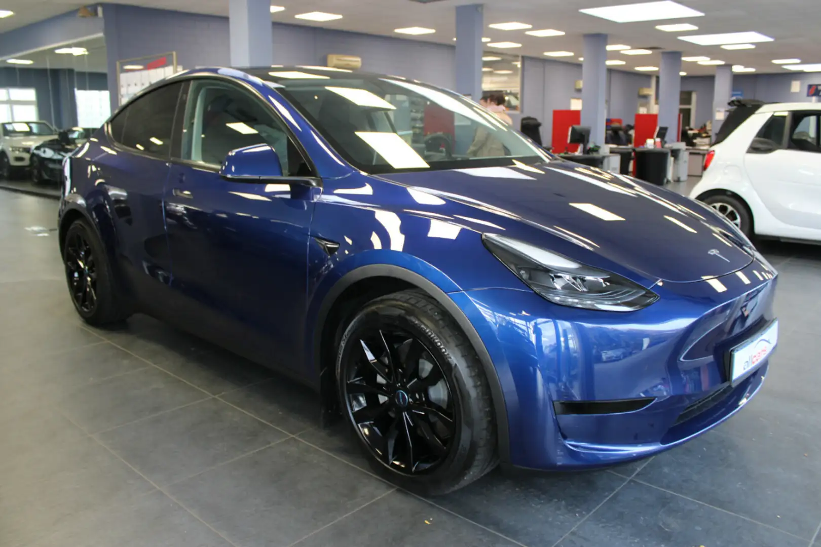 Tesla Model Y RWD Albastru - 1