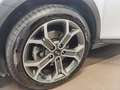 Kia XCeed 1.6 CRDi 115 CV Style Bianco - thumbnail 13