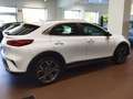 Kia XCeed 1.6 CRDi 115 CV Style Bianco - thumbnail 3