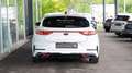 Kia ProCeed / pro_cee'd ProCeed GT*KAM*PANO*ACC*SPUR*TOT Білий - thumbnail 6