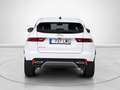 Jaguar E-Pace 2.0D I4 S AWD Aut. 163 Blanco - thumbnail 4