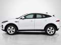 Jaguar E-Pace 2.0D I4 S AWD Aut. 163 Blanco - thumbnail 6