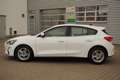 Ford Focus 1.0 EB LED Navi SHZ Kamera Blanc - thumbnail 9