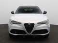 Alfa Romeo Stelvio 2.0 T GME AWD Veloce | Elektrisch Inklapbare Trekh - thumbnail 3