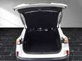 Ford Kuga Titanium X 2,0 EcoBlue Hybrid LED AHK 17" B&O N... Weiß - thumbnail 14