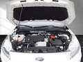 Ford Kuga Titanium X 2,0 EcoBlue Hybrid LED AHK 17" B&O N... Weiß - thumbnail 9