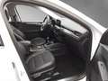 Ford Kuga Titanium X 2,0 EcoBlue Hybrid LED AHK 17" B&O N... Weiß - thumbnail 13