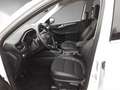 Ford Kuga Titanium X 2,0 EcoBlue Hybrid LED AHK 17" B&O N... Weiß - thumbnail 11
