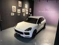 Porsche Cayenne S/ Hinterachslenkung/Luftfederung/Carbon Weiß - thumbnail 4