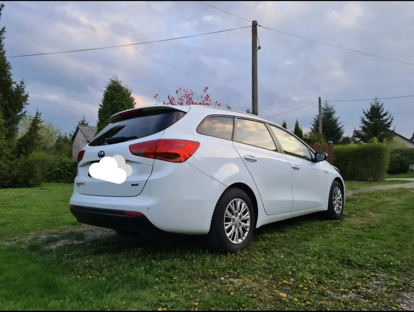 Kia Ceed SW / cee'd SW 1,4 CRDi Titan Weiß - 2