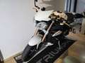 Triumph Speed Triple 1050 Білий - thumbnail 5