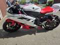 Yamaha YZF-R6 RJ 11 Weiß - thumbnail 2