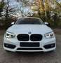 BMW 116 116i Wit - thumbnail 1