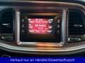Dodge Challenger SRT Automatik Klimaautomatik Leder Violett - thumbnail 13