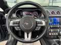 Ford Mustang GT 5.0 V8 Premium Cabrio/Shelby GT-500/ Grau - thumbnail 26
