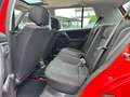 Volkswagen Golf 1.6 Rolling Stones SCHIEBED.*88TKM*HU 01-27 Rouge - thumbnail 9