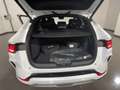 BYD Seal U DM-i 1.5 phev BOOST 2wd Bianco - thumbnail 6