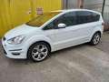 Ford S-Max 2.0 TDCi 163CV Powershift 7 posti TITANIUM Bianco - thumbnail 20