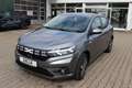 Dacia Sandero ECO-G 100 Expression Gris - thumbnail 1