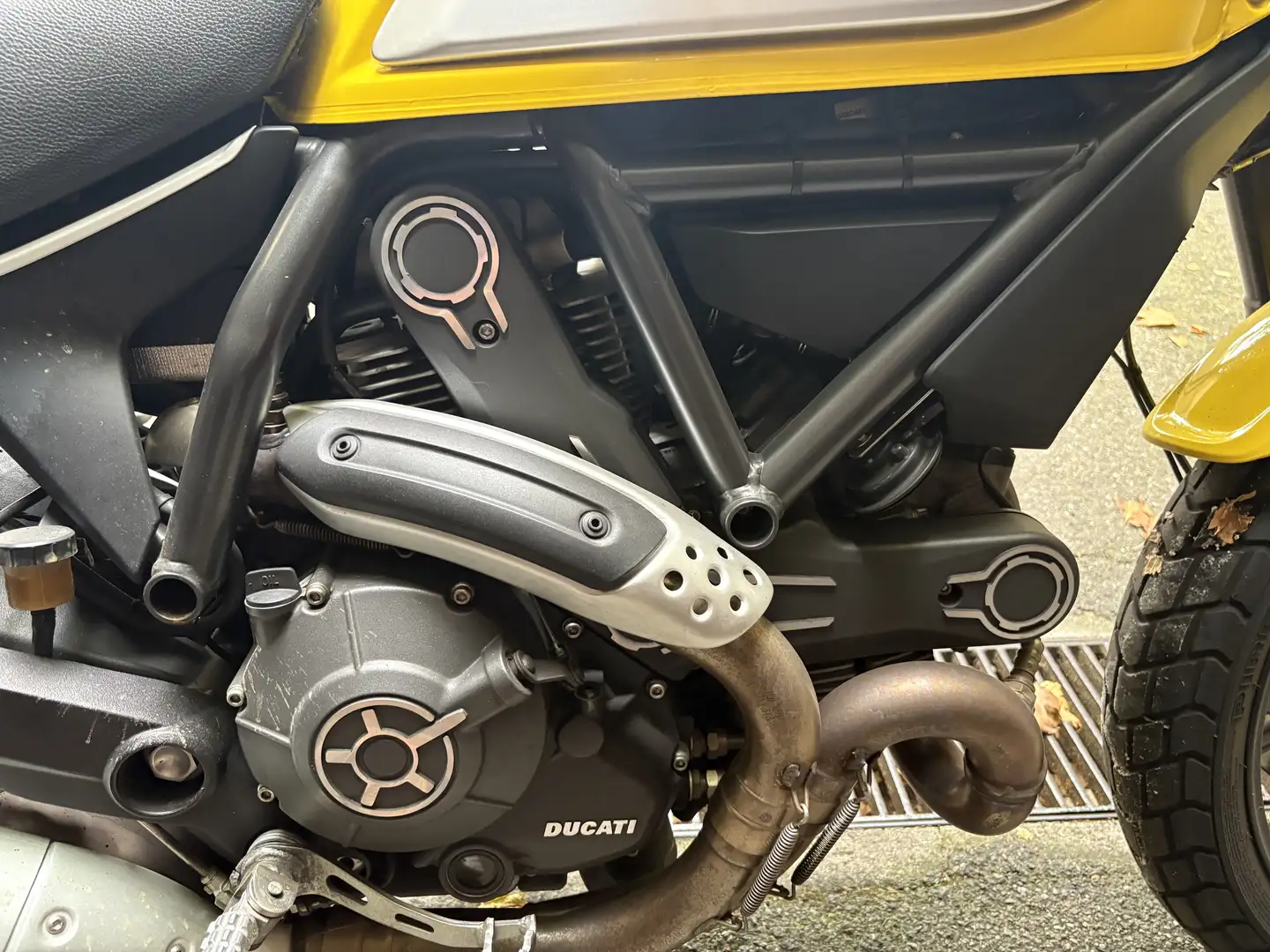 Ducati Scrambler 800 Icon Giallo - 2