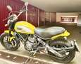Ducati Scrambler 800 Icon Giallo - thumbnail 9
