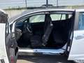 Ford B-Max 1.6l*Titanium*Pano*SitzHeizung*Tempo*PDC*Klima Weiß - thumbnail 12
