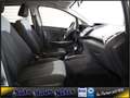 Ford EcoSport 1,5 Ti-VCT Autom. Allwetter RadioCD AUX Zilver - thumbnail 15