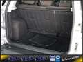 Ford EcoSport 1,5 Ti-VCT Autom. Allwetter RadioCD AUX Argintiu - thumbnail 18