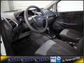 Ford EcoSport 1,5 Ti-VCT Autom. Allwetter RadioCD AUX Silver - thumbnail 8