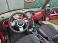 MINI One Cabrio MINI ONE Cabrio Austrian Salt Austrian Salt Rot - thumbnail 12