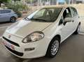 Fiat Punto Pequeño Manual de 5 Puertas Blanco - thumbnail 14