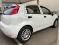 Fiat Punto Pequeño Manual de 5 Puertas Blanco - thumbnail 2