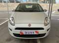 Fiat Punto Pequeño Manual de 5 Puertas Blanco - thumbnail 9